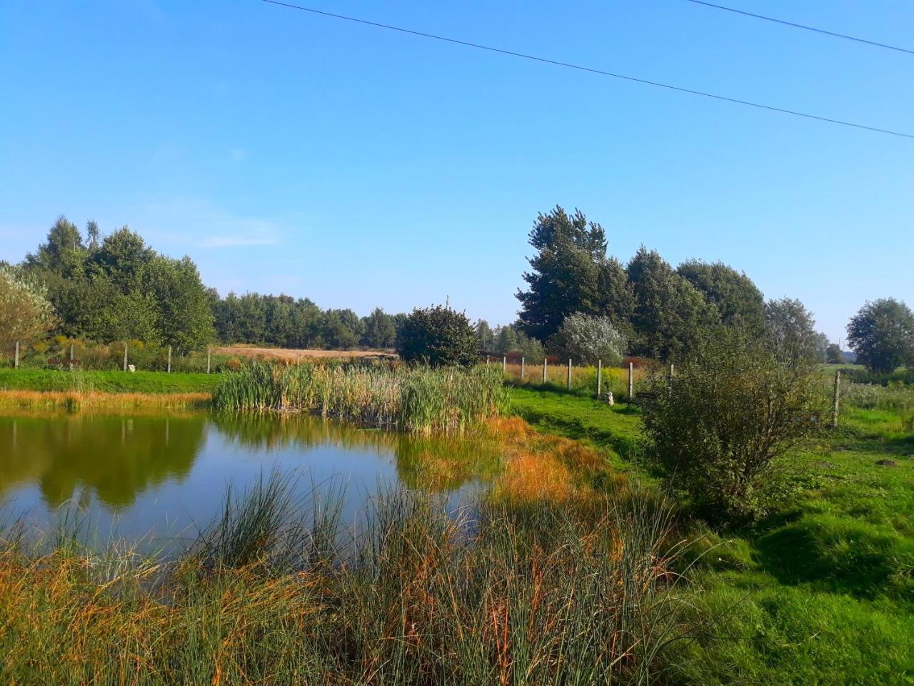 Agroturystyka Villa Uniejow Bagian luar foto